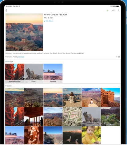 screenshot of FOREVER Storage